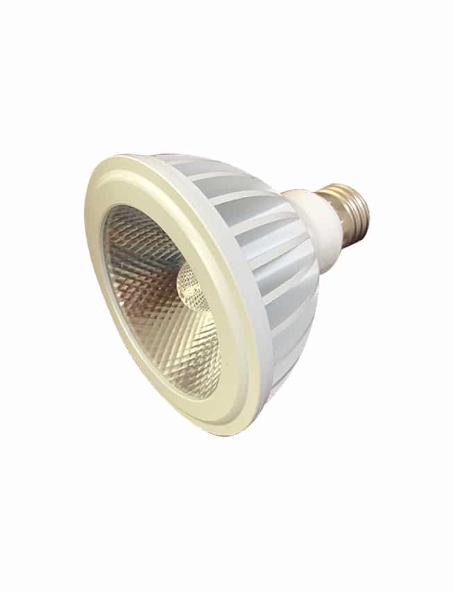 LED Parlight COB 16 20 Watts 16W 20W PAR38 Warm White Ecoshift Corporation Philippines