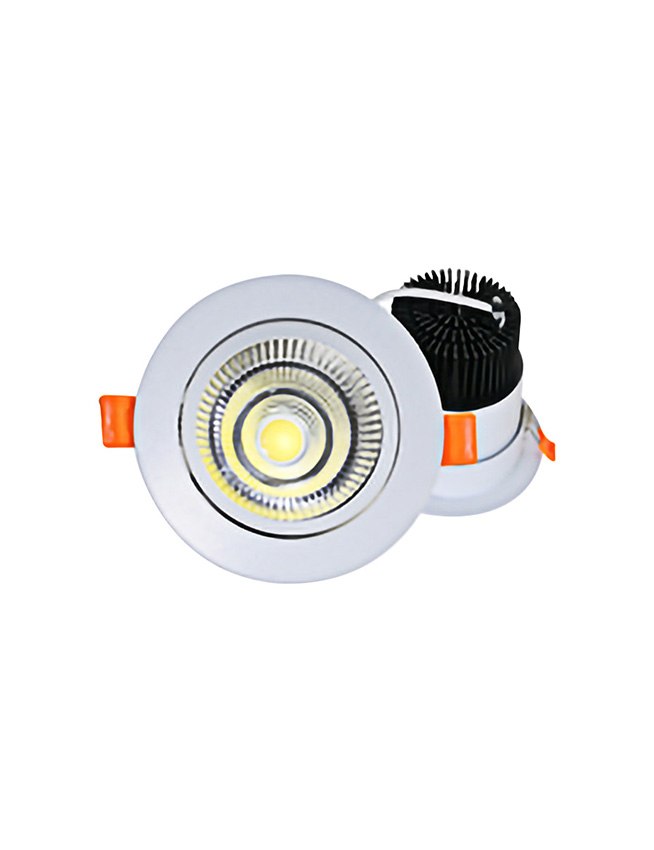 Premium Directional Downlight 18 Watts 18W COB LED Lights Supplier Philippines