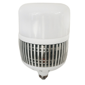 High-Powered Bulb 50W Daylight