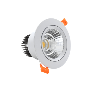 LED Downlight Premium