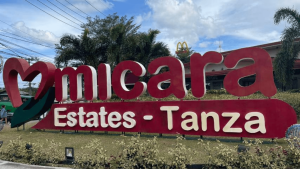 Top 07. Micara Estate, Tanza Cavite Solar Street Lights Project