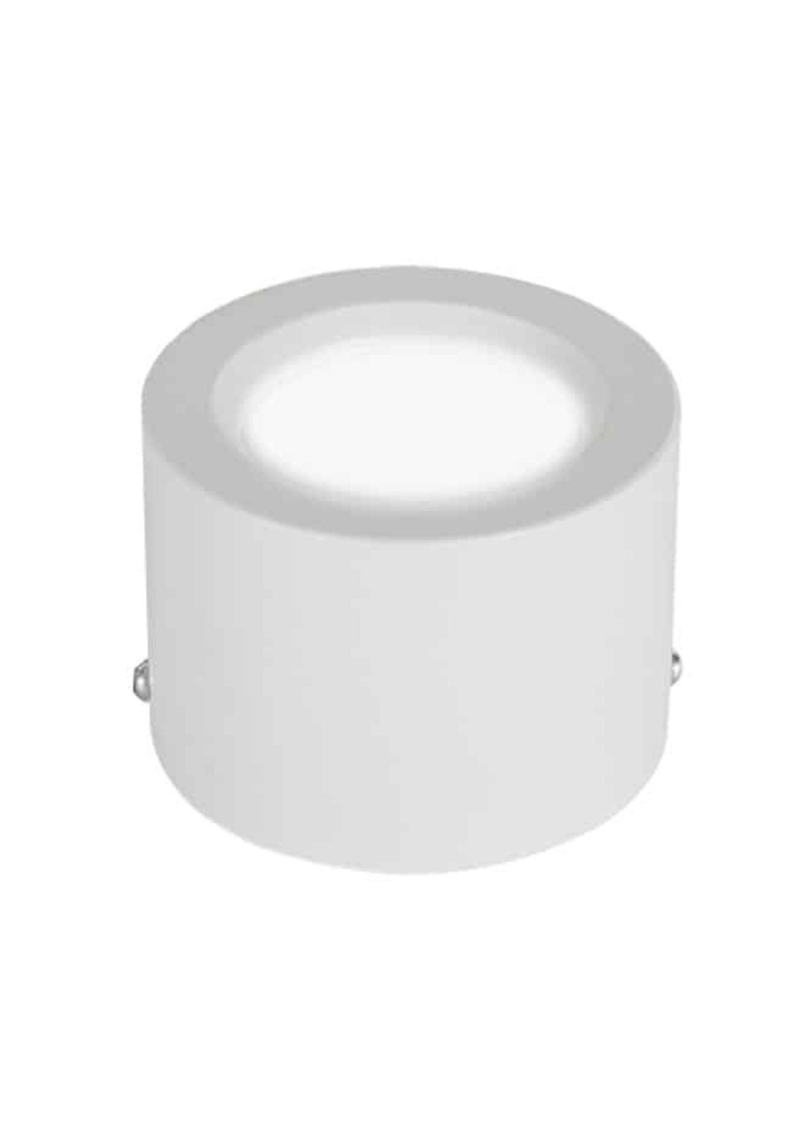 Surface Downlight Frosted Type White Casing 12W Daylight