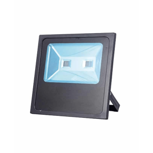 Deluxe Led Floodlight 100W Daylight