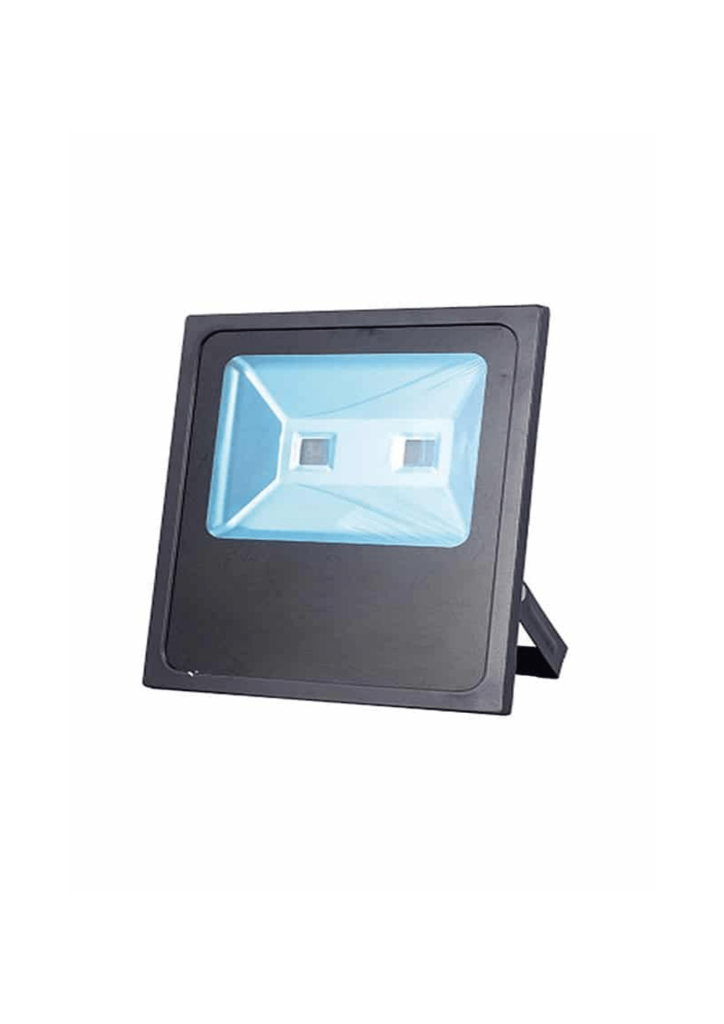 Deluxe Led Floodlight 100W Daylight