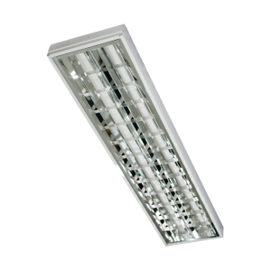2X4Ft. Surface Louver Type Housing 12X48"