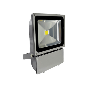 Premium Led Floodlight 100W Daylight
