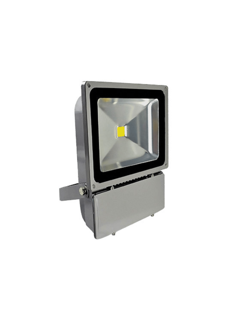 Premium Led Floodlight 100W Daylight