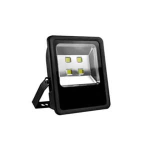 Deluxe Led Floodlight 200W Daylight