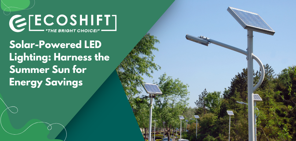 Solar-powered LED street lights by Ecoshift installed along a sunny, tree-lined pathway.